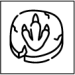 Pegada Dino