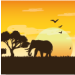 África