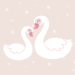 Cisne