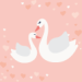 Cisne