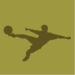Futebol