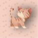 Gato